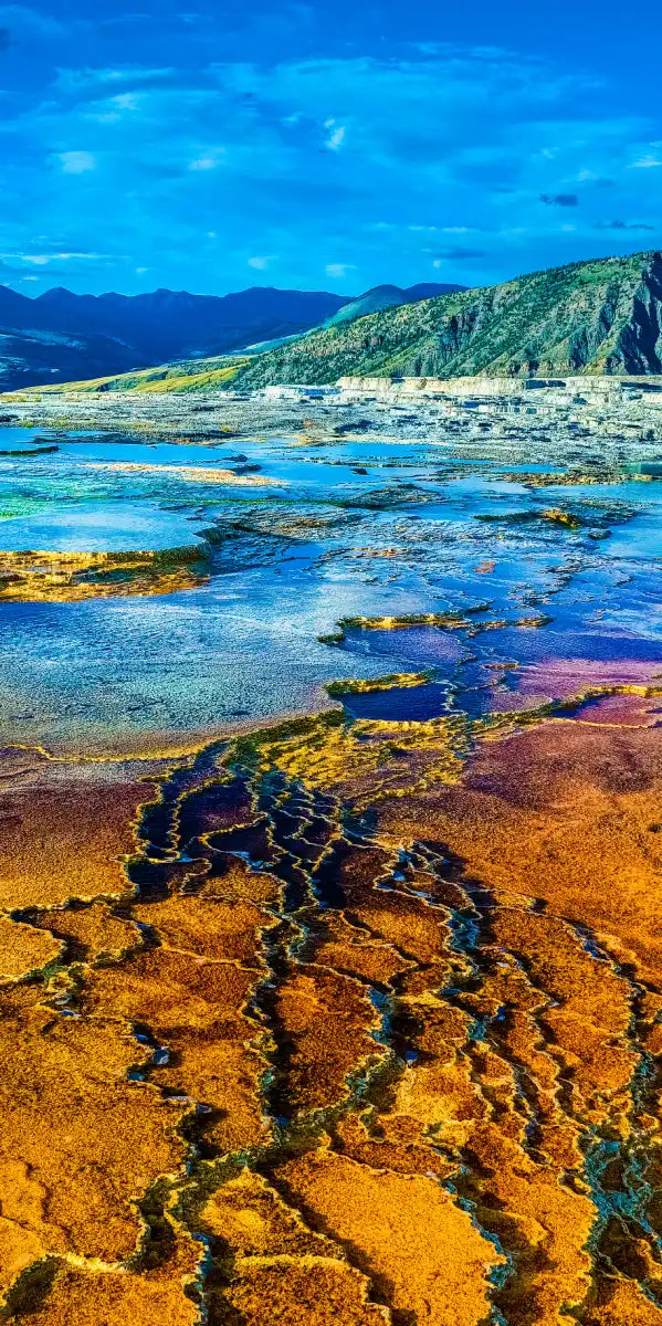 Yellowstone Mammoth Hot Springs Wall Art