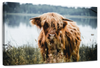 Lakeside Highland Cow Wall Art