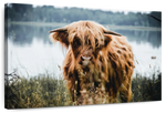 Lakeside Highland Cow Wall Art