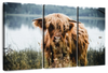 Lakeside Highland Cow Wall Art
