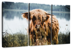 Lakeside Highland Cow Wall Art