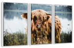 Lakeside Highland Cow Wall Art