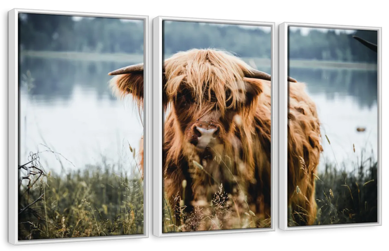 Lakeside Highland Cow Wall Art