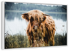 Lakeside Highland Cow Wall Art