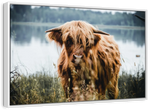 Lakeside Highland Cow Wall Art