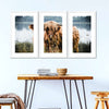 Lakeside Highland Cow Wall Art