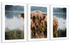 Lakeside Highland Cow Wall Art