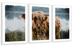 Lakeside Highland Cow Wall Art