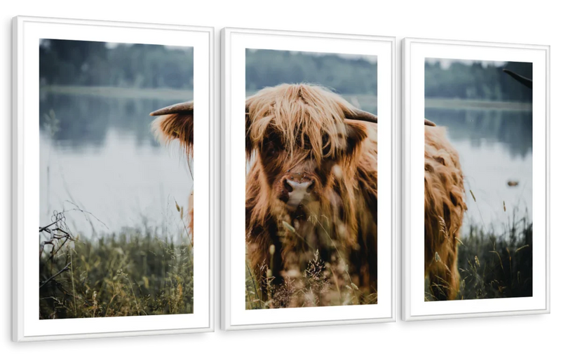 Lakeside Highland Cow Wall Art