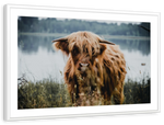Lakeside Highland Cow Wall Art