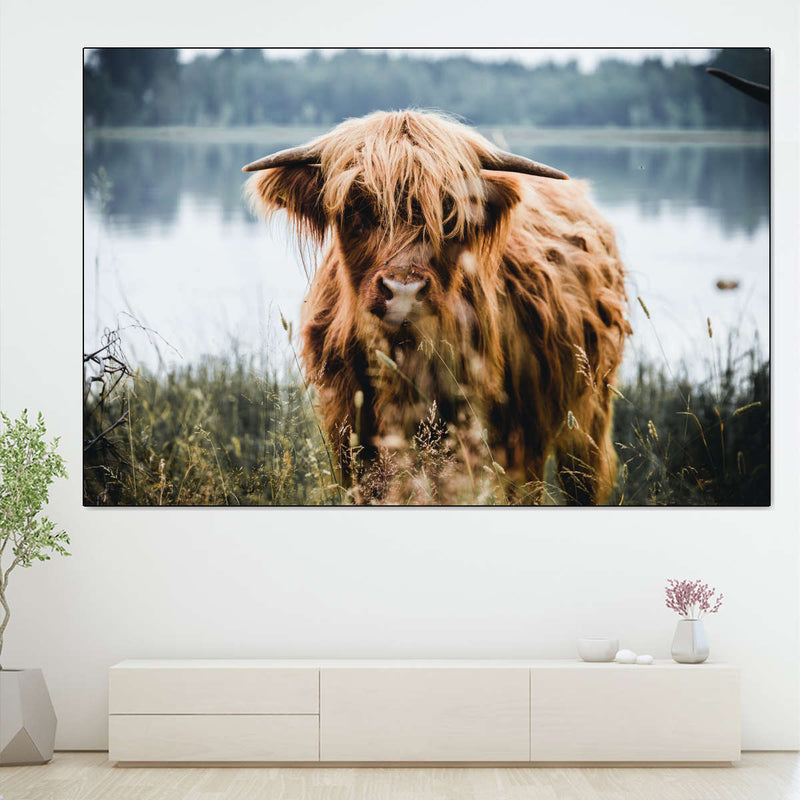 Lakeside Highland Cow Wall Art