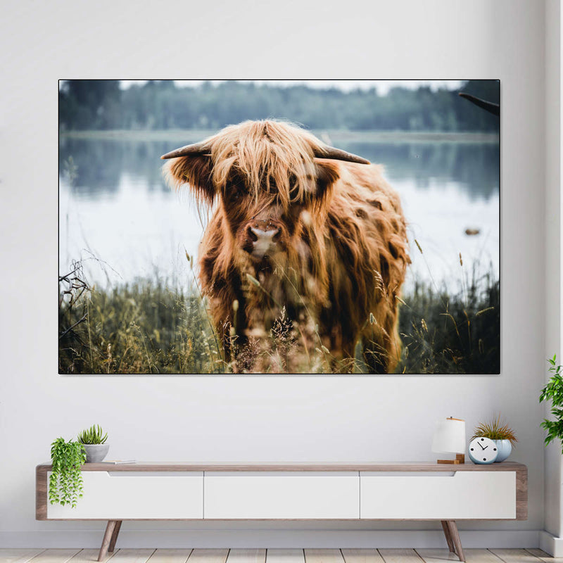 Lakeside Highland Cow Wall Art