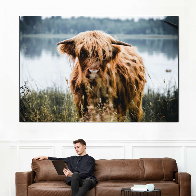 Lakeside Highland Cow Wall Art