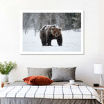 Winter Grizzly Bear Wall Art