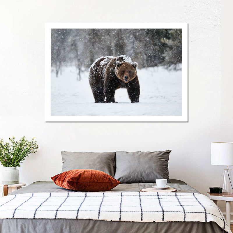 Winter Grizzly Bear Wall Art