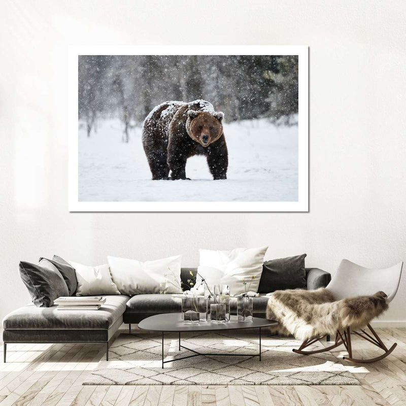 Winter Grizzly Bear Wall Art