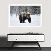 Winter Grizzly Bear Wall Art