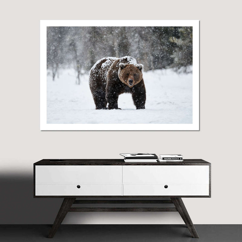 Winter Grizzly Bear Wall Art