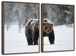 Winter Grizzly Bear Wall Art