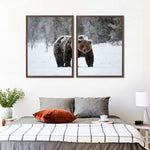 Winter Grizzly Bear Wall Art