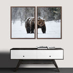 Winter Grizzly Bear Wall Art