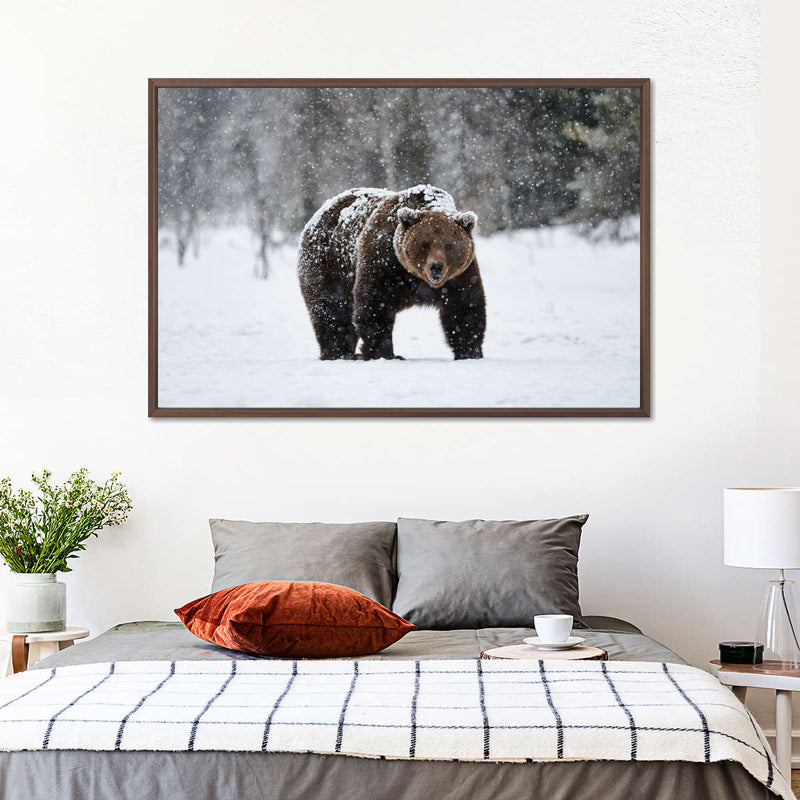 Winter Grizzly Bear Wall Art