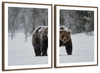Winter Grizzly Bear Wall Art