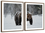 Winter Grizzly Bear Wall Art