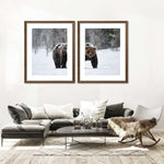Winter Grizzly Bear Wall Art