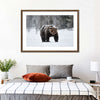 Winter Grizzly Bear Wall Art