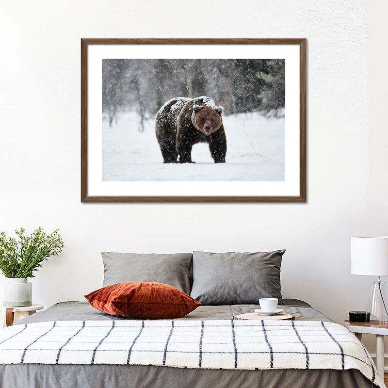 Winter Grizzly Bear Wall Art