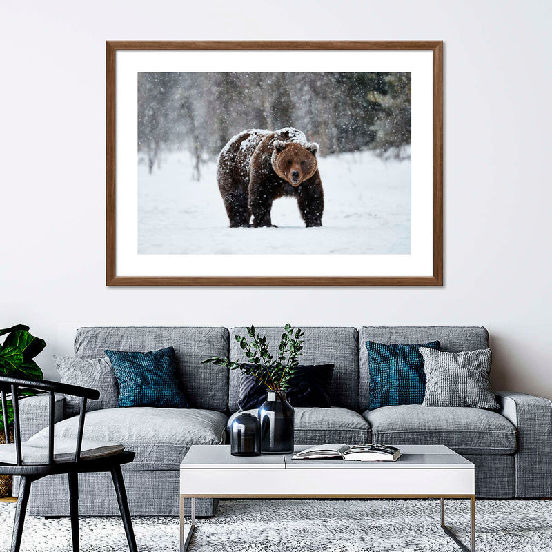 Winter Grizzly Bear Wall Art