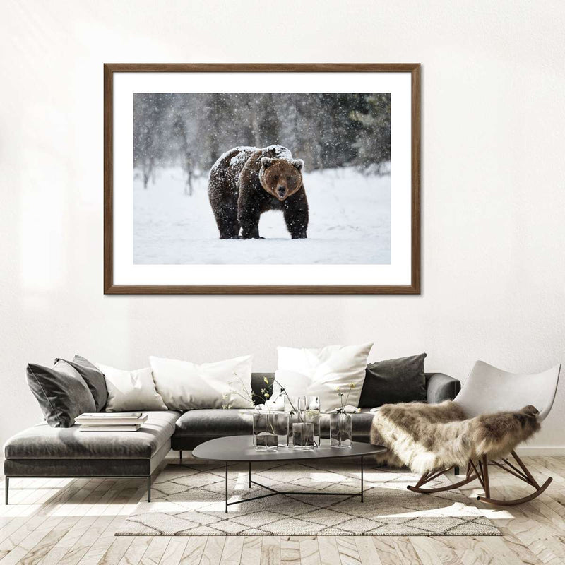 Winter Grizzly Bear Wall Art