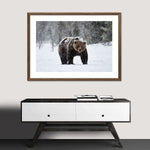 Winter Grizzly Bear Wall Art