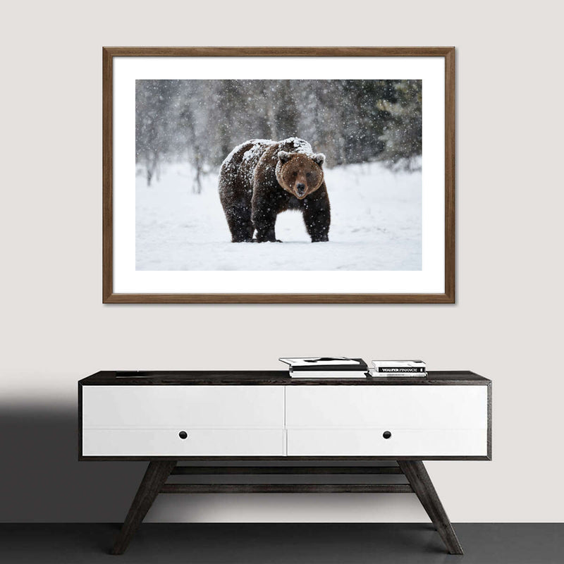 Winter Grizzly Bear Wall Art