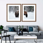 Winter Grizzly Bear Wall Art