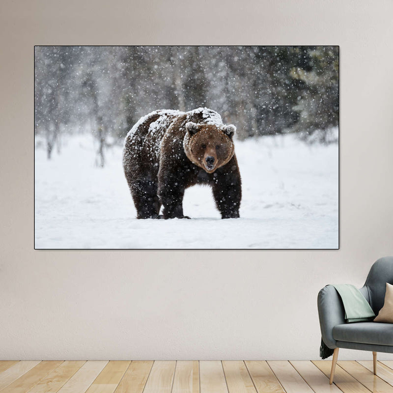 Winter Grizzly Bear Wall Art