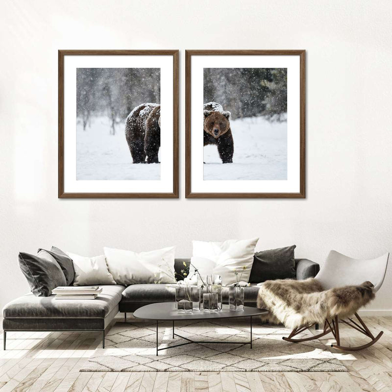 Winter Grizzly Bear Wall Art