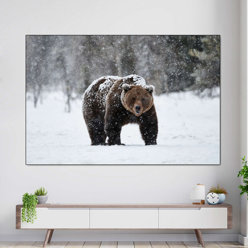 Winter Grizzly Bear Wall Art