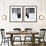 Winter Grizzly Bear Wall Art