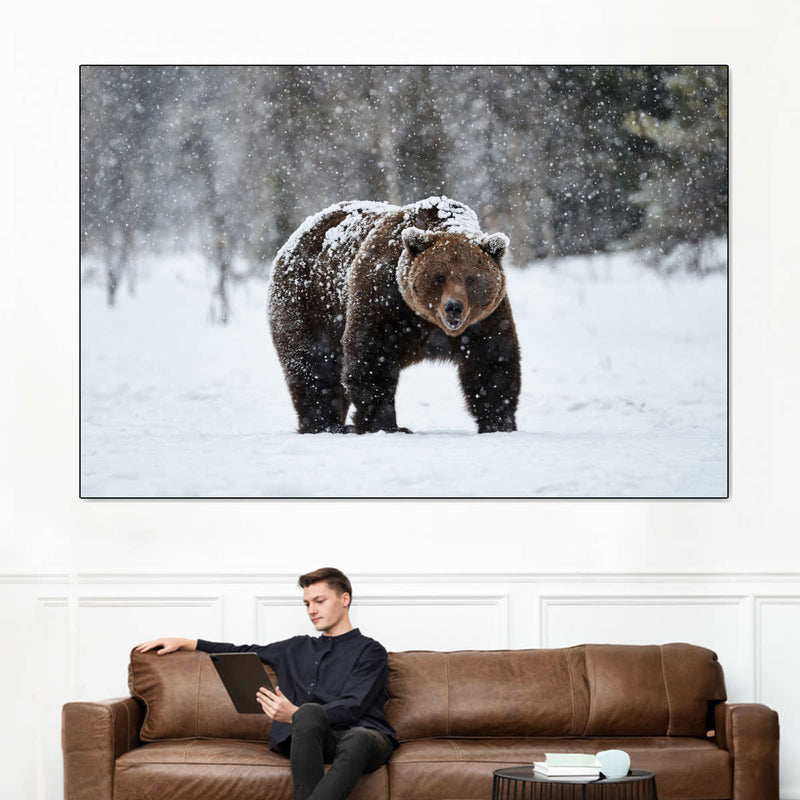 Winter Grizzly Bear Wall Art