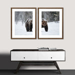 Winter Grizzly Bear Wall Art