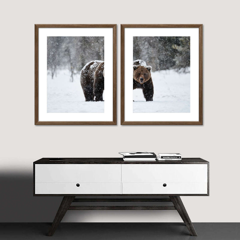 Winter Grizzly Bear Wall Art