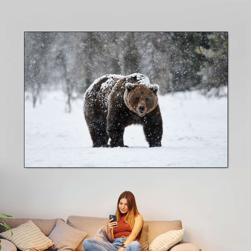 Winter Grizzly Bear Wall Art