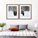 Winter Grizzly Bear Wall Art