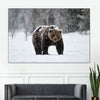 Winter Grizzly Bear Wall Art