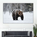Winter Grizzly Bear Wall Art