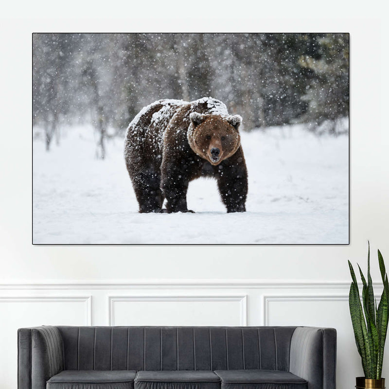 Winter Grizzly Bear Wall Art