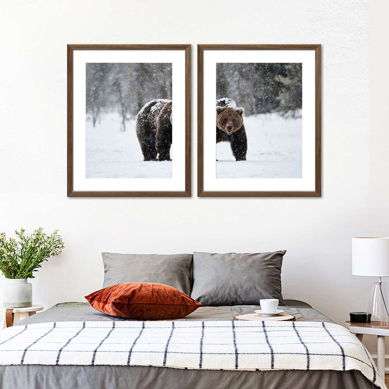 Winter Grizzly Bear Wall Art