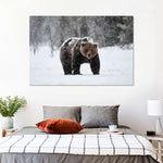 Winter Grizzly Bear Wall Art